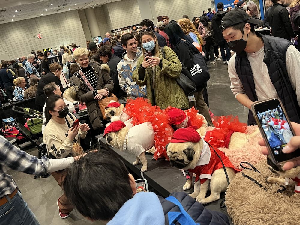 2023 AKC Meet the Breeds